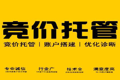 百度竞价排名服务在金融行业的推广策略